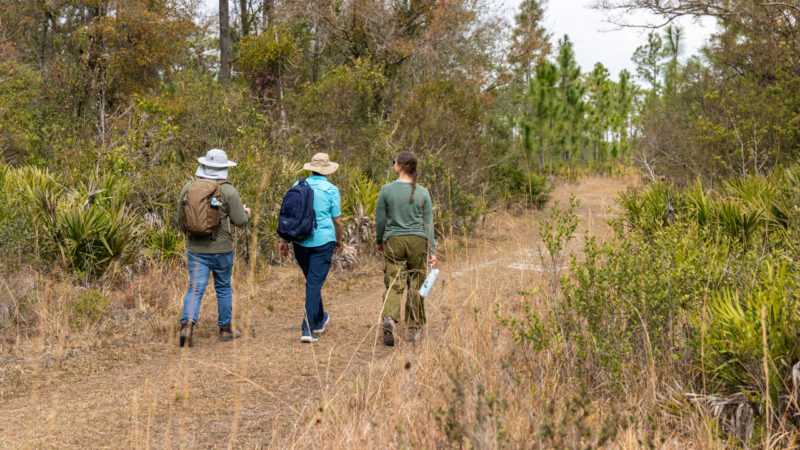 Hiking at Hal Scott Regional Preserve and Park Hal Scott Regional Preserve and Park - District staff Christopher Ge, Cammie Dewey, and Erin L. Reichel