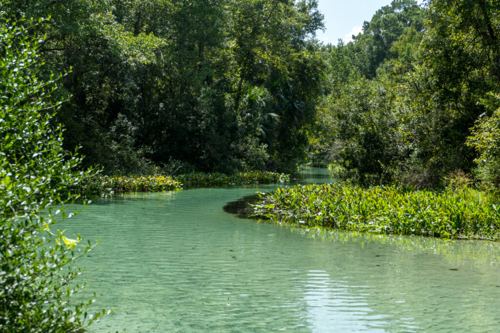 If you're looking for a refreshing escape into nature, look no further than the St. Johns River Water Management District’s Middle St. Johns River Basin. Stretching over 2,000 square miles across parts of Orange, Osceola, Seminole, Volusia, Lake, Marion, and Putnam counties, this region is a watery wonderland packed with scenic lakes, meandering rivers, and—best of all—outstanding springs.
