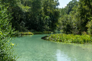 If you're looking for a refreshing escape into nature, look no further than the St. Johns River Water Management District’s Middle St. Johns River Basin. Stretching over 2,000 square miles across parts of Orange, Osceola, Seminole, Volusia, Lake, Marion, and Putnam counties, this region is a watery wonderland packed with scenic lakes, meandering rivers, and—best of all—outstanding springs.