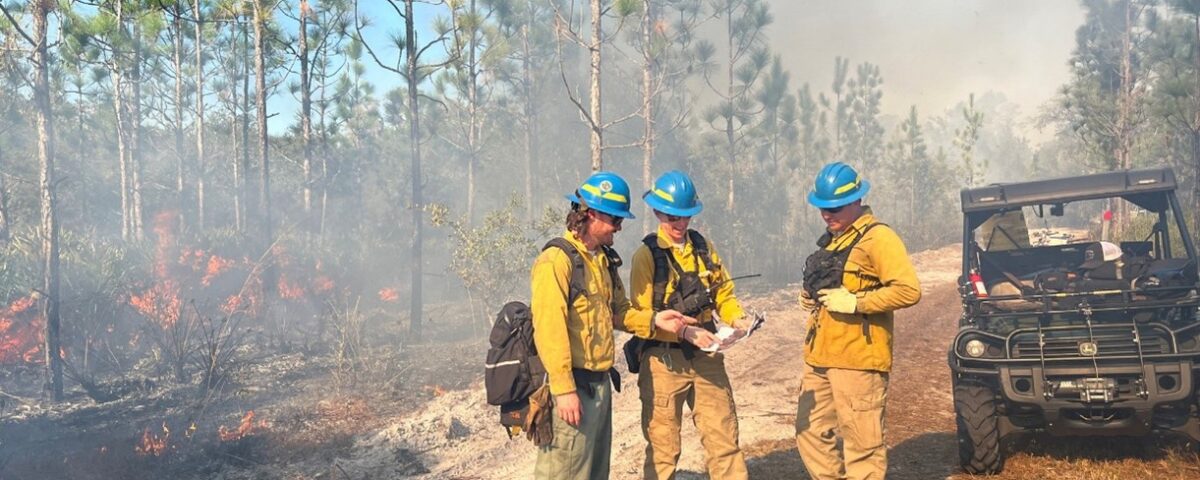 Three wildland firefighters in yellow fire gear and blue helmets monitor a prescribed burn in a Florida pine forest, with controlled flames and smoke visible in the background