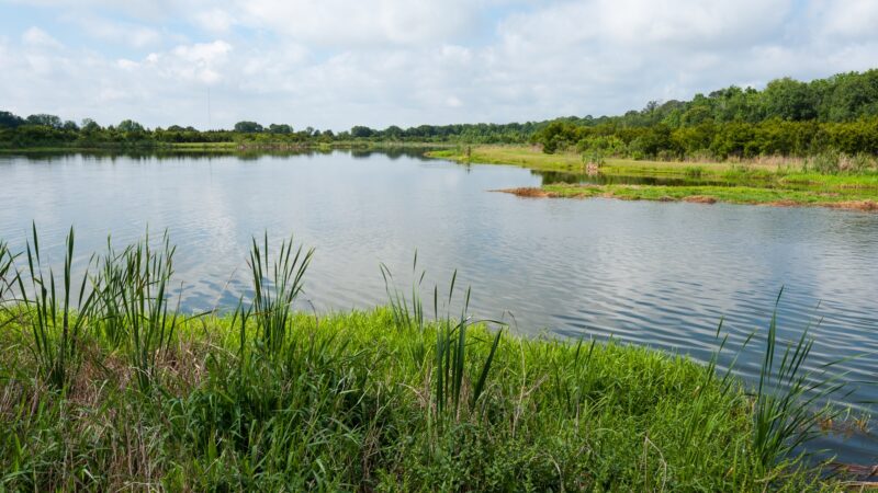 Calm waters of Deep Creek surrounded by lush green grasses and wetland vegetation, with tree-lined shores and small islands under partly cloudy skies