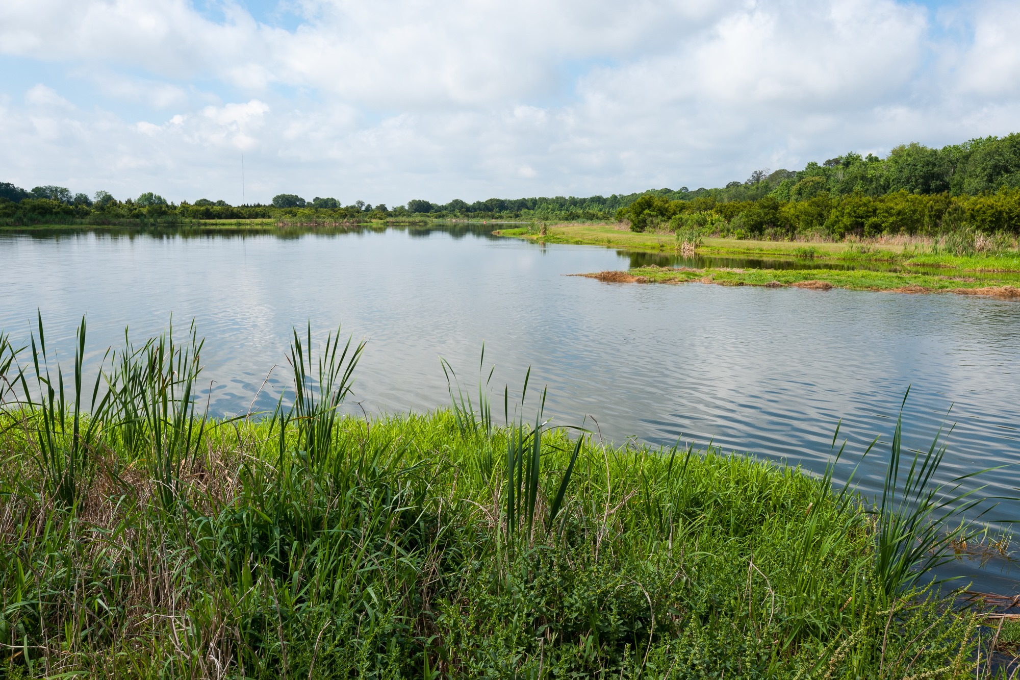 Calm waters of Deep Creek surrounded by lush green grasses and wetland vegetation, with tree-lined shores and small islands under partly cloudy skies
