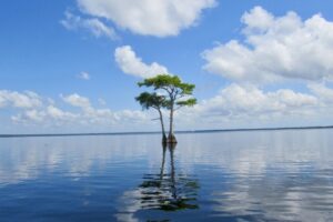 cypress-at-blue-cypress cypress-at-blue-cypress