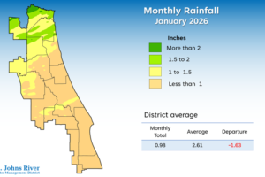 january-rainfall-post january-rainfall-post