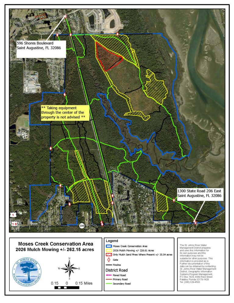 An aerial map of the Moses Creek Conservation Area in St. Johns County, Florida, showing planned 2026 mulch mowing areas outlined in yellow within a larger blue site boundary, overlaid on satellite imagery of forest, marsh, and nearby neighborhoods. The map highlights approximately 262 acres of mowing corridors and blocks along existing district roads and firelines, notes a red-hatched area where only sand pines will be mulched, and includes caution text advising that taking equipment through the center of the property is not recommended, with labeled access points at 596 Shores Boulevard and 1300 State Road 206 East for water management district operations.