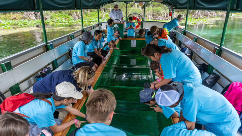 A group of students on a glass‑bottom boat at Silver Springs, looking down through the clear water into the spring basin while the boat glides over the submerged vegetation and limestone bottom.