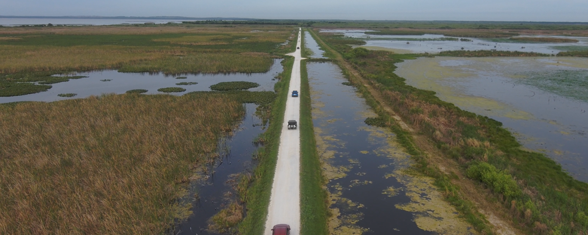 Aerial view of a straight, narrow road flanked by water-filled canals running through the wetlands and marshes of Lake Apopka Wildlife Drive, with three vehicles traveling along the route under an overcast sky.