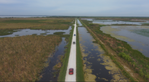 Aerial view of a straight, narrow road flanked by water-filled canals running through the wetlands and marshes of Lake Apopka Wildlife Drive, with three vehicles traveling along the route under an overcast sky.