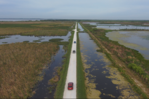 Aerial view of a straight, narrow road flanked by water-filled canals running through the wetlands and marshes of Lake Apopka Wildlife Drive, with three vehicles traveling along the route under an overcast sky.