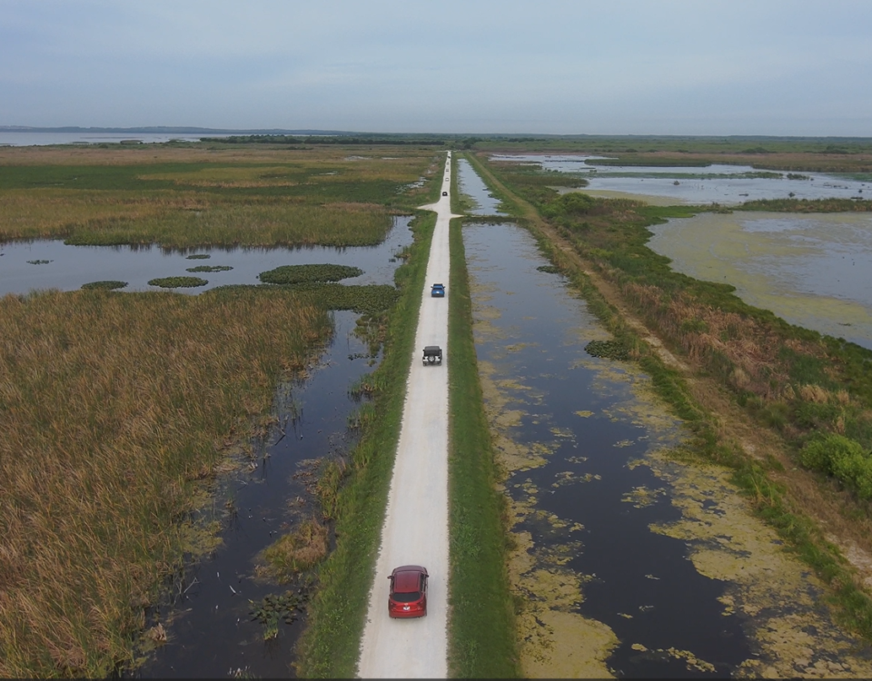 Aerial view of a straight, narrow road flanked by water-filled canals running through the wetlands and marshes of Lake Apopka Wildlife Drive, with three vehicles traveling along the route under an overcast sky.