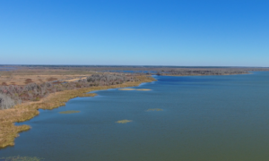 Aerial view of a large lake with marshy shoreline, sparse aquatic vegetation, and flat, open land with scattered trees under a clear blue sky.