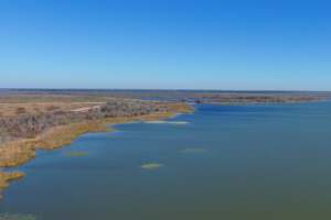 Aerial view of a large lake with marshy shoreline, sparse aquatic vegetation, and flat, open land with scattered trees under a clear blue sky.