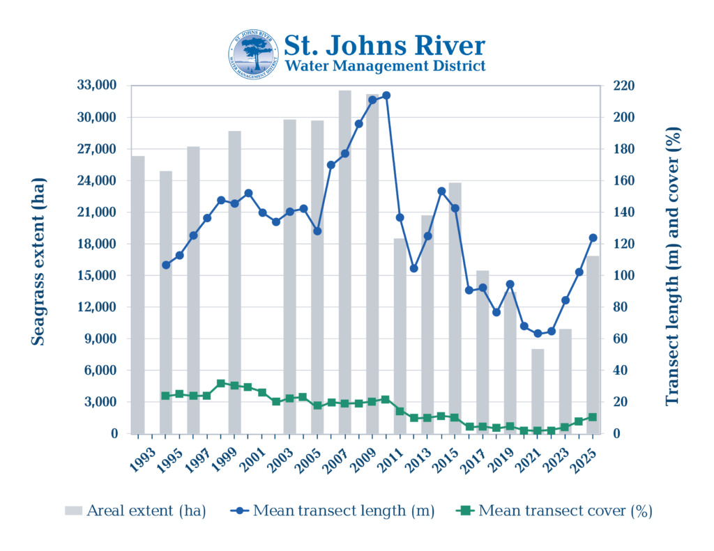 Bar and line graph from the St. Johns River Water Management District showing seagrass areal extent in hectares, mean transect length in meters, and mean transect cover percentage from 1993 to 2025. Areal extent and transect length peaked around 2007–2009 and declined significantly through 2022, with a modest recovery shown in 2025.