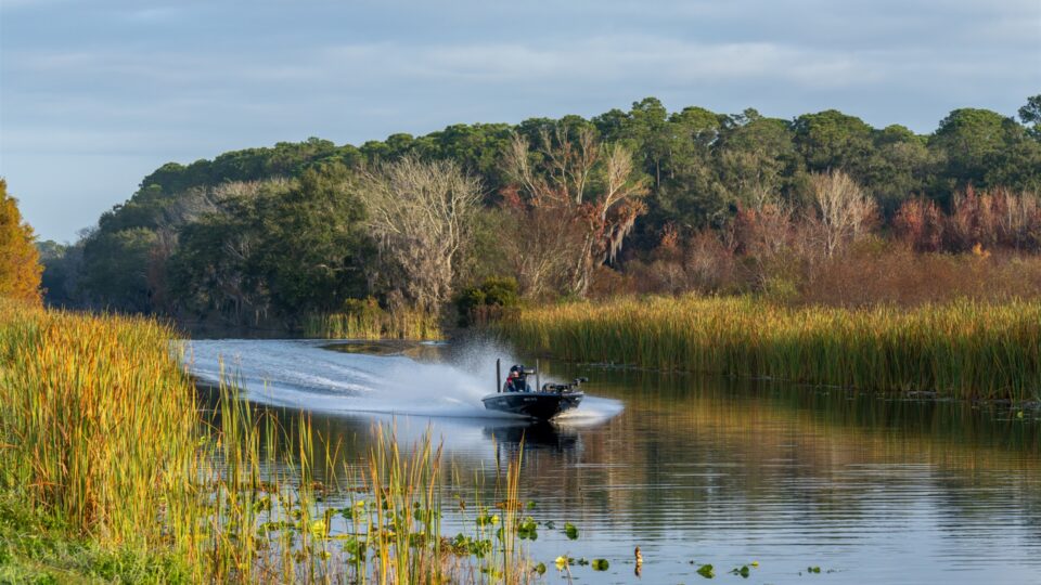 A motorboat speeds through a narrow waterway surrounded by tall marsh grasses and aquatic vegetation, with a mixed forest treeline in the background under a partly cloudy sky.