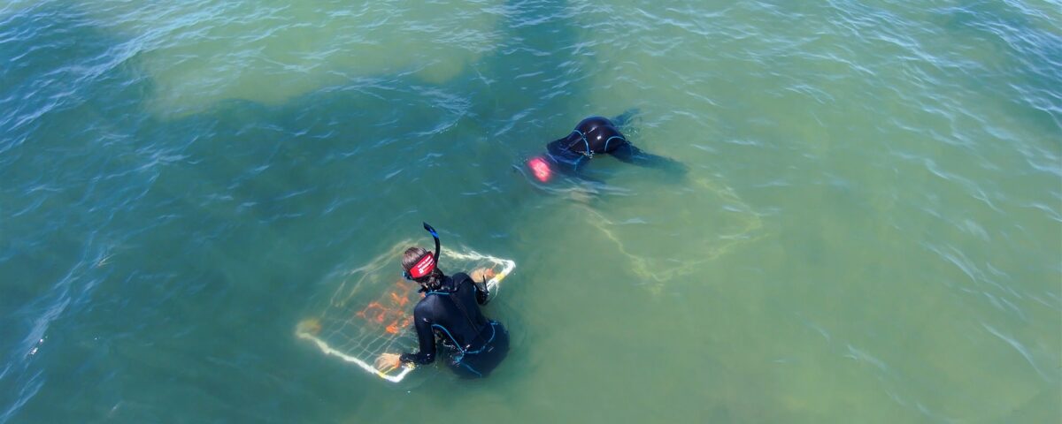 Two divers in black wetsuits conducting a field survey in shallow coastal waters, with one diver examining a framed underwater sampling quadrat containing aquatic vegetation.