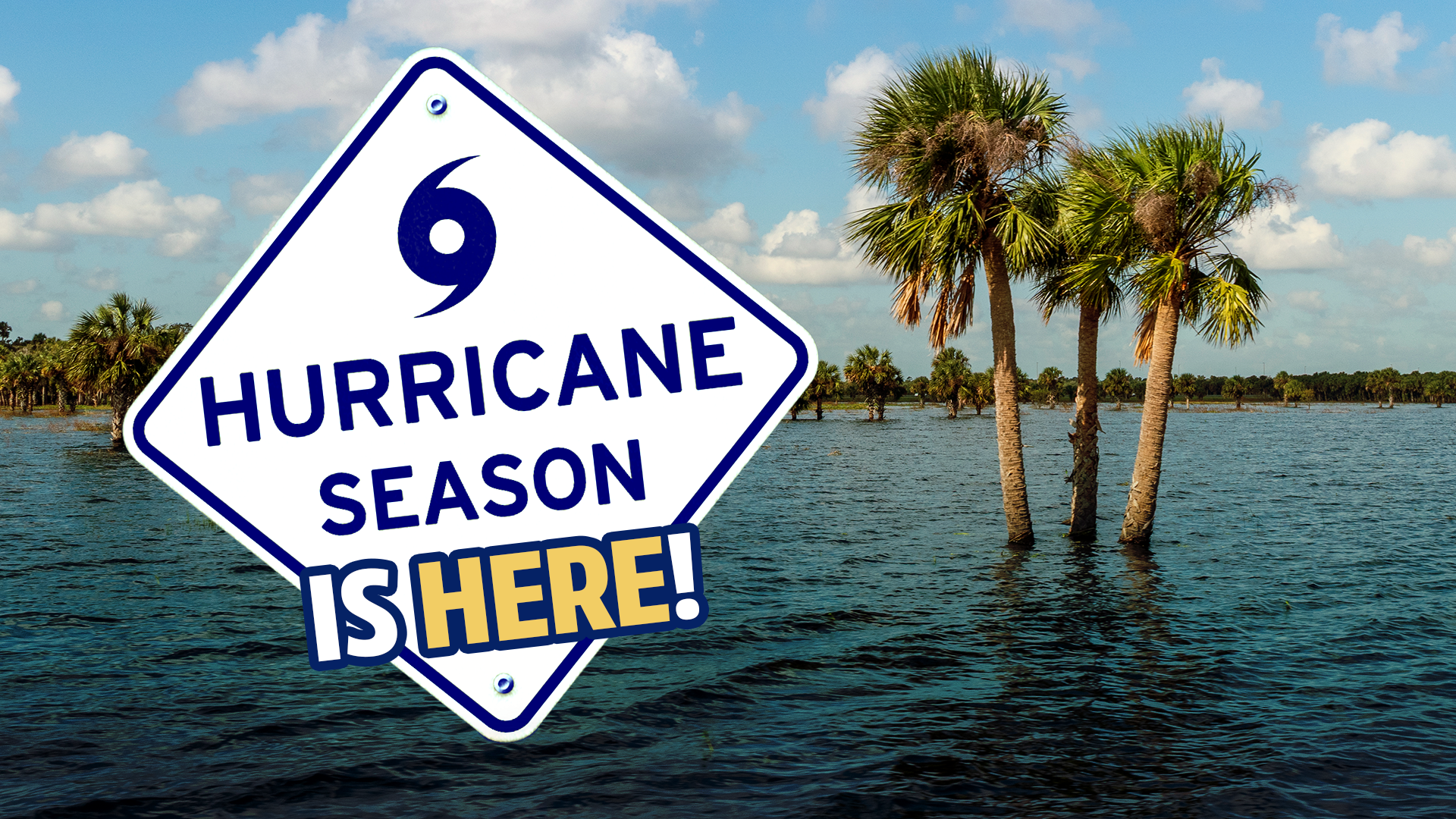 Graphic announcing hurricane season. A large road-sign-style graphic in the foreground displays the words “HURRICANE SEASON IS HERE!” with a hurricane symbol above the text. In the background, several palm trees stand in flooded water beneath a partly cloudy blue sky, illustrating coastal flooding and storm impacts associated with hurricanes.