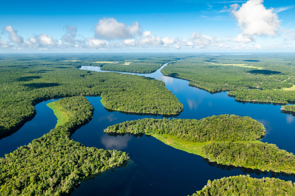 Aerial view of a winding river flowing through dense green forest in a broad floodplain landscape under a blue sky with scattered clouds.