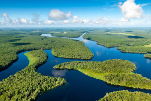 Aerial view of a winding river flowing through dense green forest in a broad floodplain landscape under a blue sky with scattered clouds.