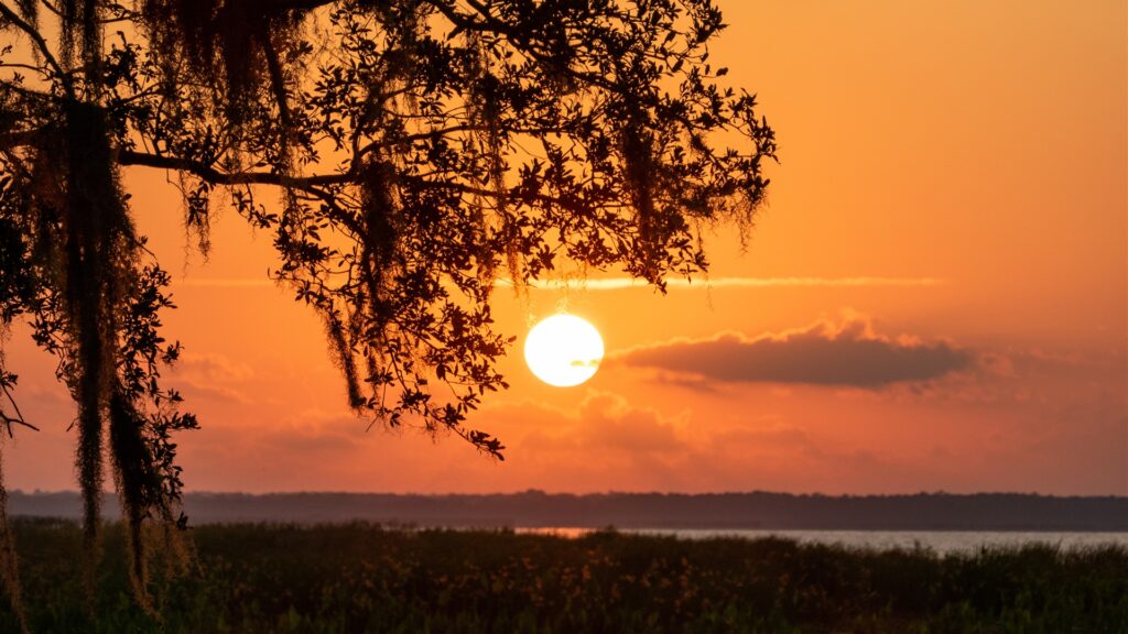 Stretching from Indian River County north to the Georgia border, the St. Johns River Water Management District spans nearly 13,000 square miles of springs, rivers, lakes and natural systems across 18 counties. Because no two parts of the region face the same opportunities and challenges, the District adopted a basin-focused planning approach in 2024 to better protect Florida's water resources.