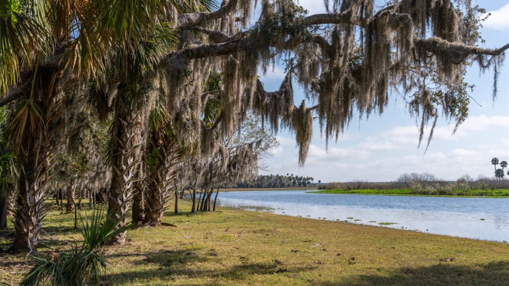Lake Monroe Conservation Area in Volusia County spans 7,514 acres of protected land, where floodplains protect more than 3 miles of Lake Monroe and St. Johns River shoreline.