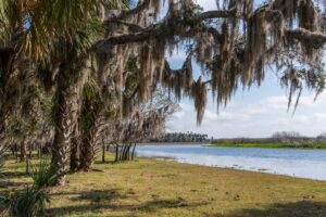 Lake Monroe Conservation Area in Volusia County spans 7,514 acres of protected land, where floodplains protect more than 3 miles of Lake Monroe and St. Johns River shoreline.