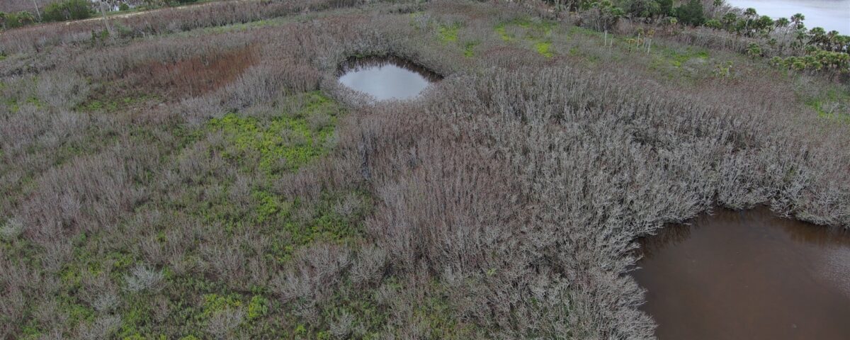 Aerial view of a coastal wetland in a water management district, showing dense gray-brown vegetation, small open-water ponds, and patches of bright green marsh plants indicating varying habitat and water conditions.