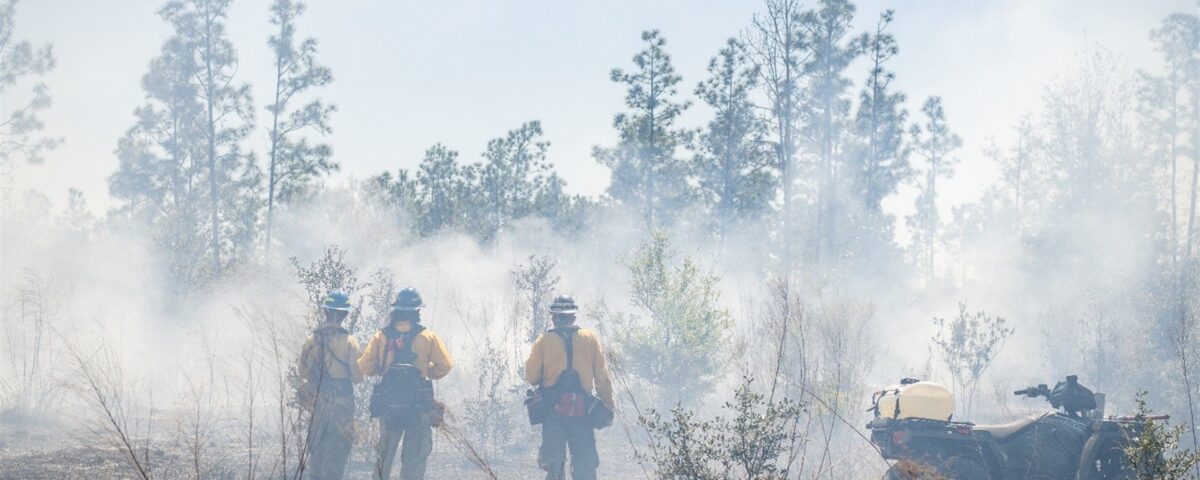 Wildland firefighters in yellow protective gear stand in a smoky pine flatwoods, monitoring a prescribed burn with an all-terrain vehicle and water tank nearby to help manage fire for habitat and watershed health.
