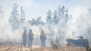 Wildland firefighters in yellow protective gear stand in a smoky pine flatwoods, monitoring a prescribed burn with an all-terrain vehicle and water tank nearby to help manage fire for habitat and watershed health.