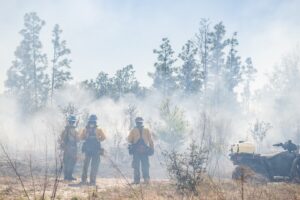lochloosa-prescribed-burn_1920x1080 Wildland firefighters in yellow protective gear stand in a smoky pine flatwoods, monitoring a prescribed burn with an all-terrain vehicle and water tank nearby to help manage fire for habitat and watershed health.