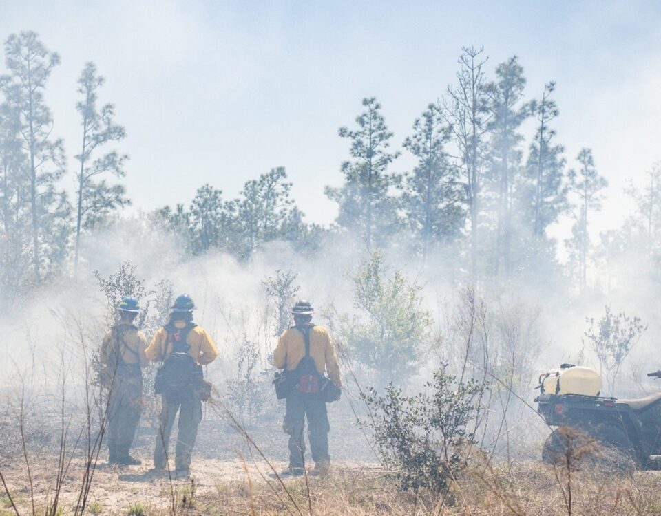 Wildland firefighters in yellow protective gear stand in a smoky pine flatwoods, monitoring a prescribed burn with an all-terrain vehicle and water tank nearby to help manage fire for habitat and watershed health.