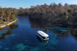 A glass-bottom tour boat floats on the clear blue water of a spring-fed river, with a grassy shoreline, palm trees, and forested wetlands in the background under a bright blue sky.