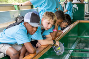 Students across the St. Johns River Water Management District will have new opportunities to explore Florida’s waterways, conduct scientific research, and connect with the environment through the District’s Blue School Grant program.