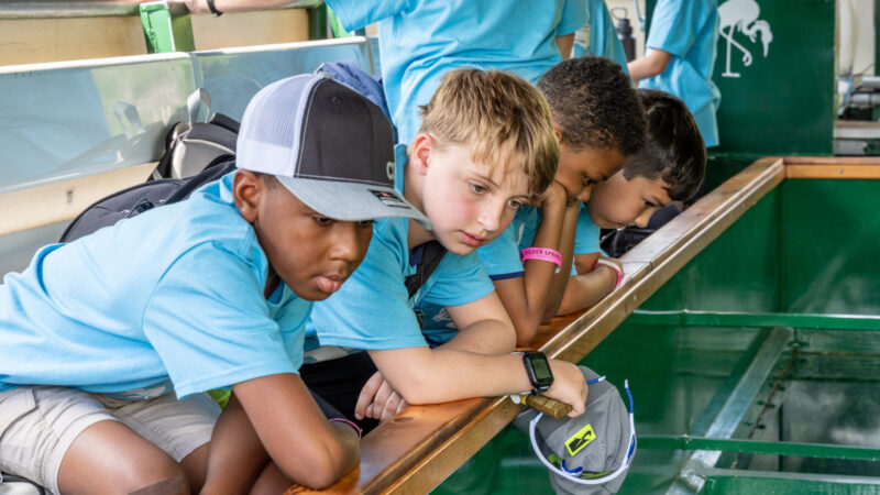 Plantation Oaks Elementary visiting Silver Springs as part of the Blue School Program. Cherelle Lapinski took 23 3rd, 4th, and 5th grade students who are in her gifted classes to learn about springs and the ecosystem at Silver Springs State Park