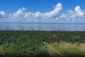 Aerial view of Lake George bordered by forest, with a scenic drive through the shoreline landscape beneath a blue, cloud-filled sky.