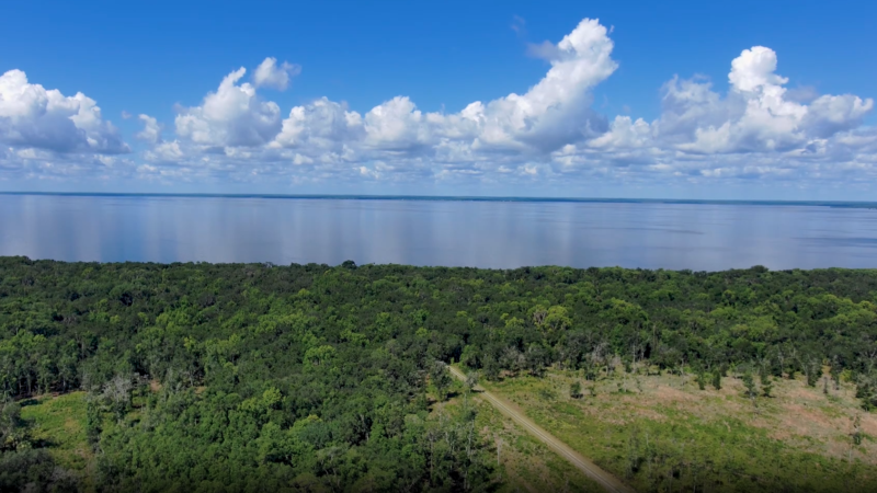 Aerial view of Lake George bordered by forest, with a scenic drive through the shoreline landscape beneath a blue, cloud-filled sky.