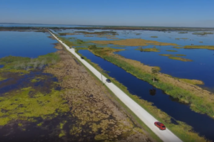 LakeApopkaWildlifeDrive