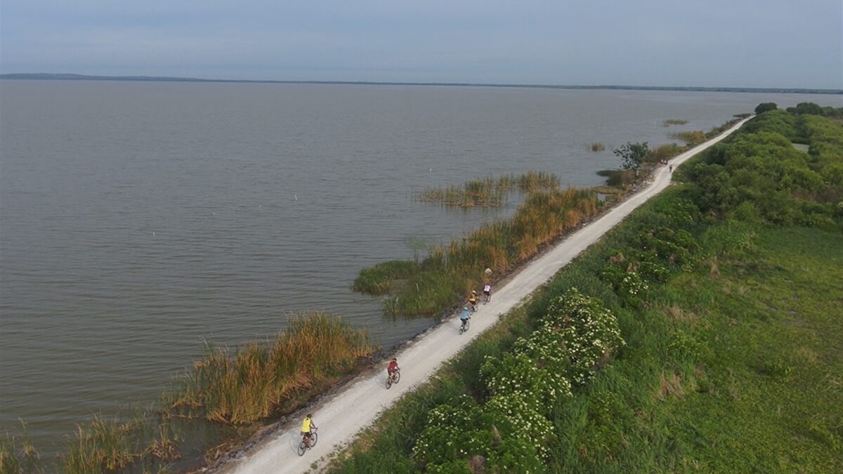Aerial view of cyclists riding along a lakeside trail bordered by marsh vegetation and green shoreline.