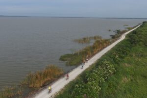 Aerial view of cyclists riding along a lakeside trail bordered by marsh vegetation and green shoreline.