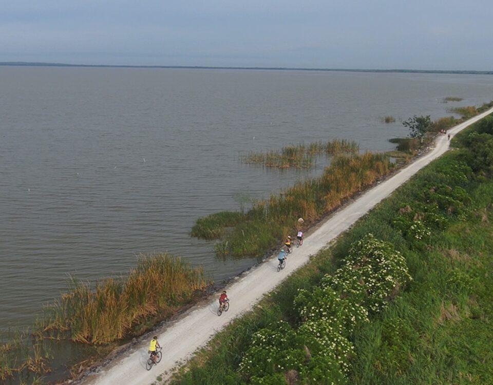 Aerial view of cyclists riding along a lakeside trail bordered by marsh vegetation and green shoreline.