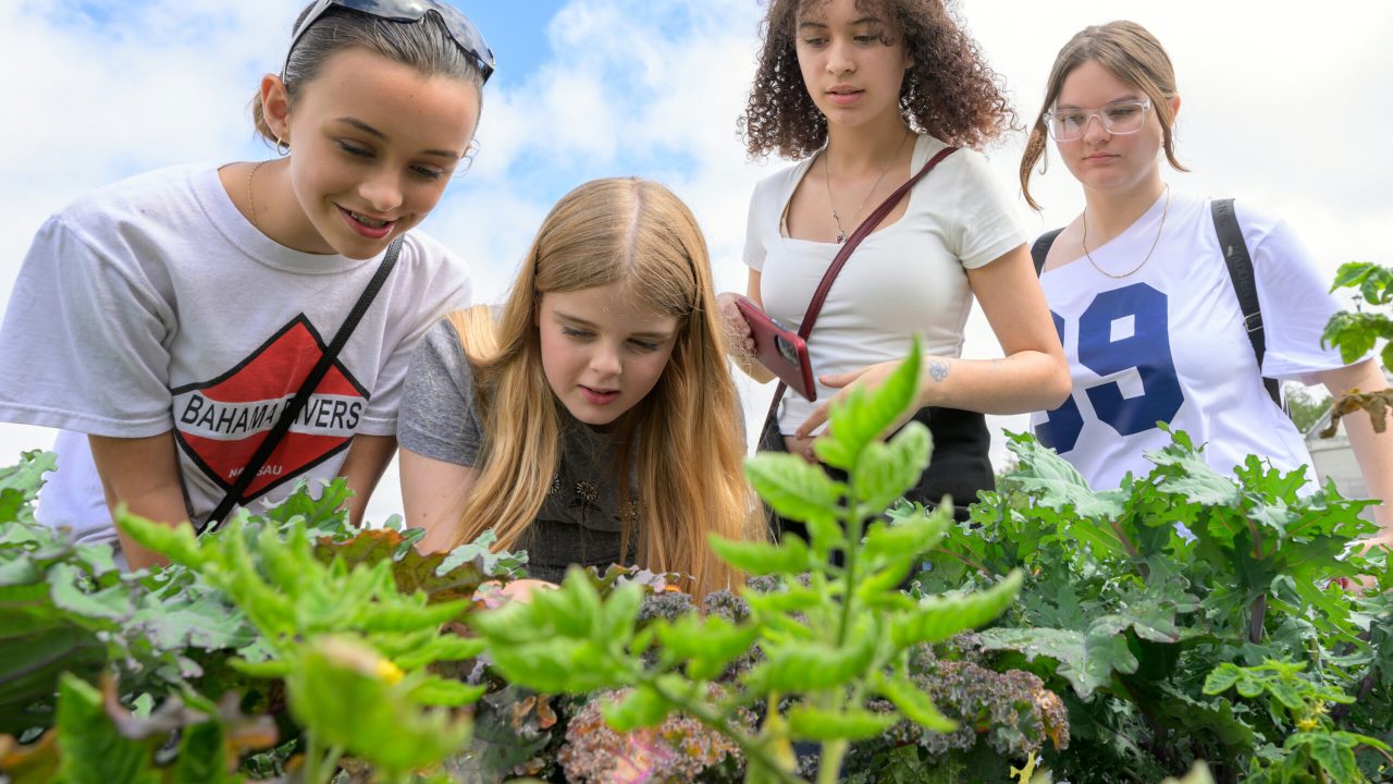 Students from Wedgewood K-8 School visit the new 4Roots Farm Campus to learn about careers in sustainable agriculture on March 31, 2025 in Orlando, Fla. The students attended presentations by Valencia College aquaponics and hydroponics lab supervisor Robby Pletcher and 4Roots assistant director of education Brie Rodarmel, who also took them on a tour of the gardens and greenhouse.