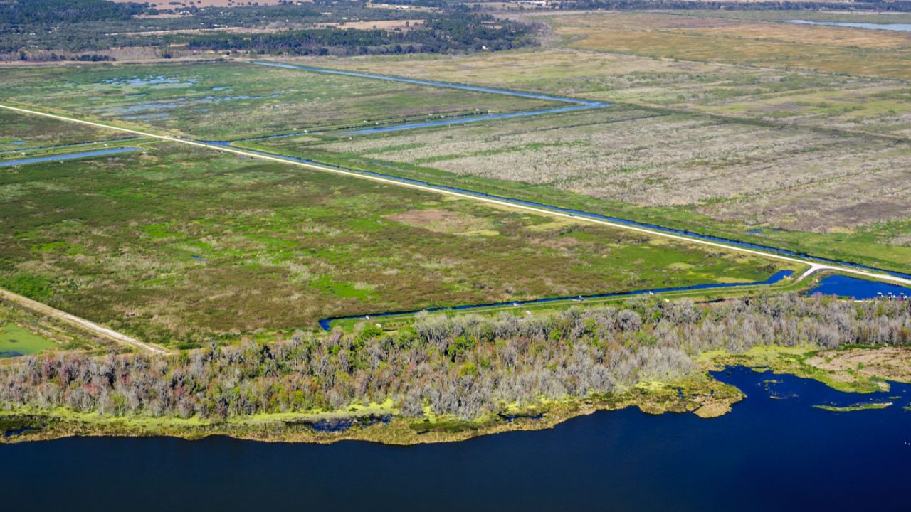 Areail of the Lake Apopka North Shore marsh flow-way