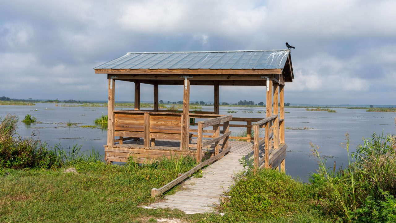 Wooden observation pavilion with metal roof and benches overlooking a wide Florida wetland with a bird perched on the roofline under cloudy skies