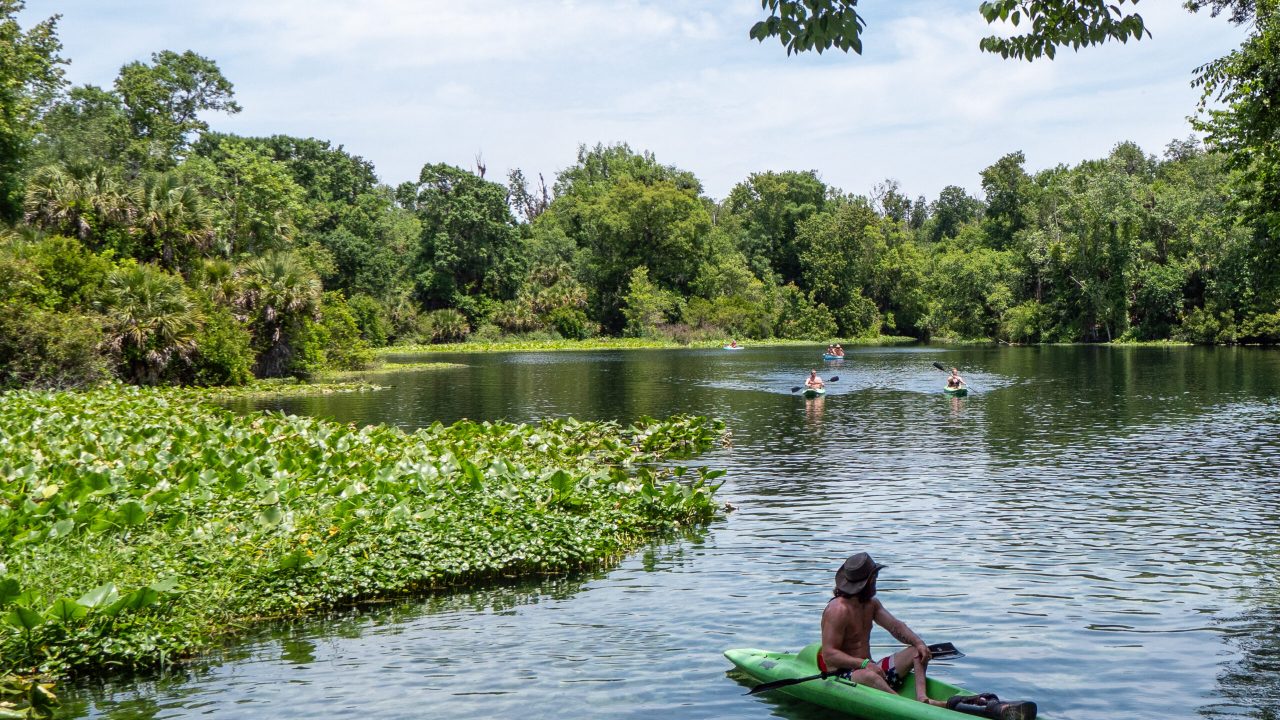 Kayaker in a green boat paddling through a spring-fed river or run bordered by dense aquatic plants and lush green trees, with several other kayakers visible farther upstream under a bright, partly cloudy sky.