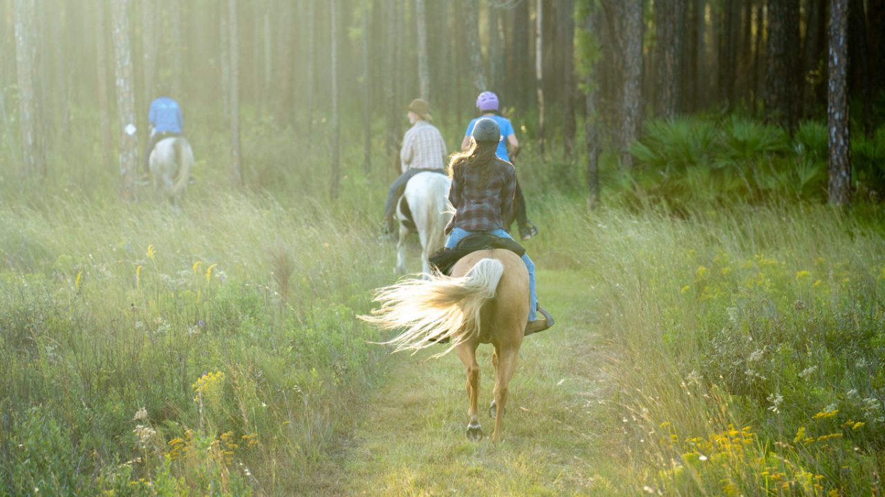 Horseback riders at Black Creek Ravines Conservation Area in Clay County. Most District Lands are open for non-vehicular recreation 365 days a year.