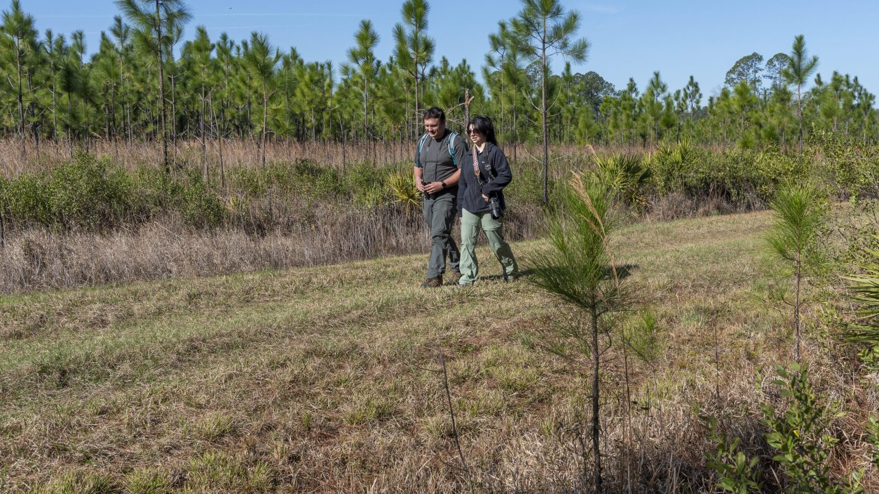 Cayla Romano-Freeman and Russel Freeman hiking at Rice Creek Conservation Area