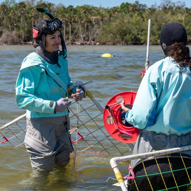 Skyler Klingshirn, Environmental Scientist II and Melissa Adams, Field Program Supervisor (District staff) monintoring seagrass in the Indian River Lagoon
