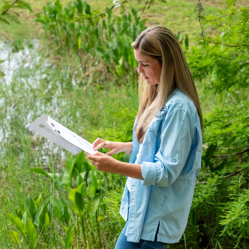 Lauren W. Akins reviewing a wetland