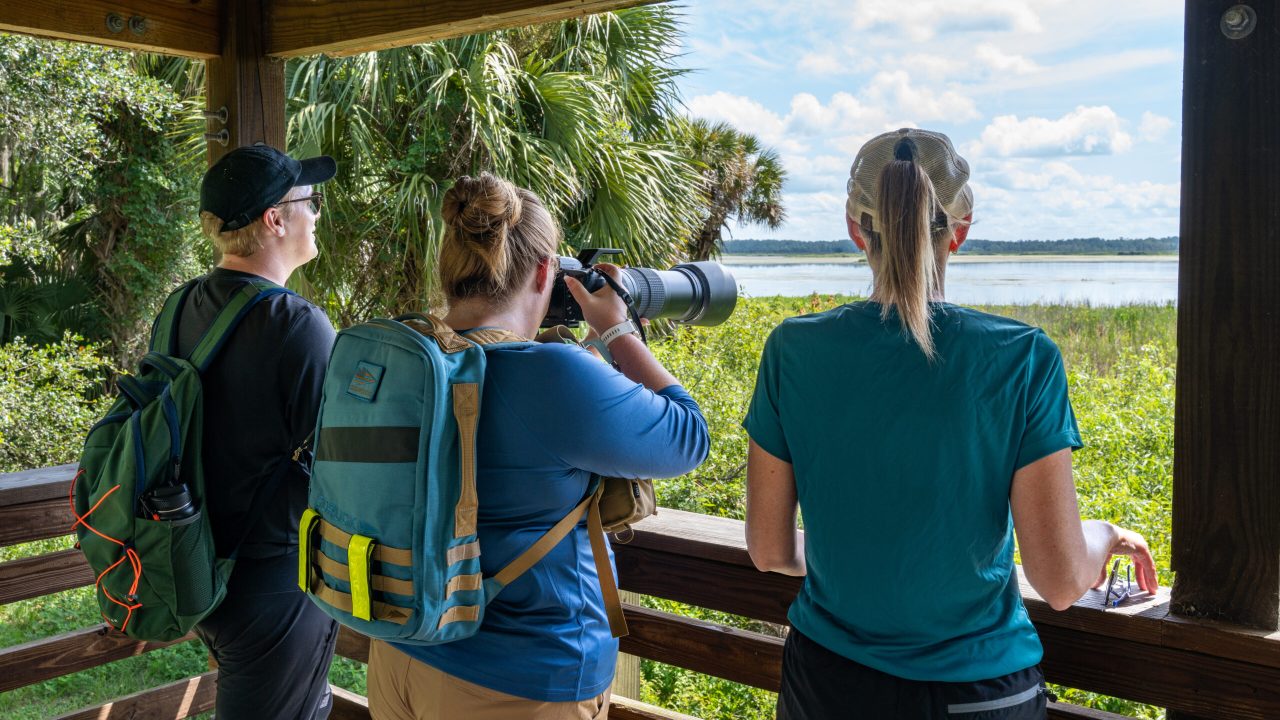 Observation tower at Orange Creek Restoration Area (staff in photo - Danielle FitzPatrick, Corey Finton, Chelsea Jarrell)