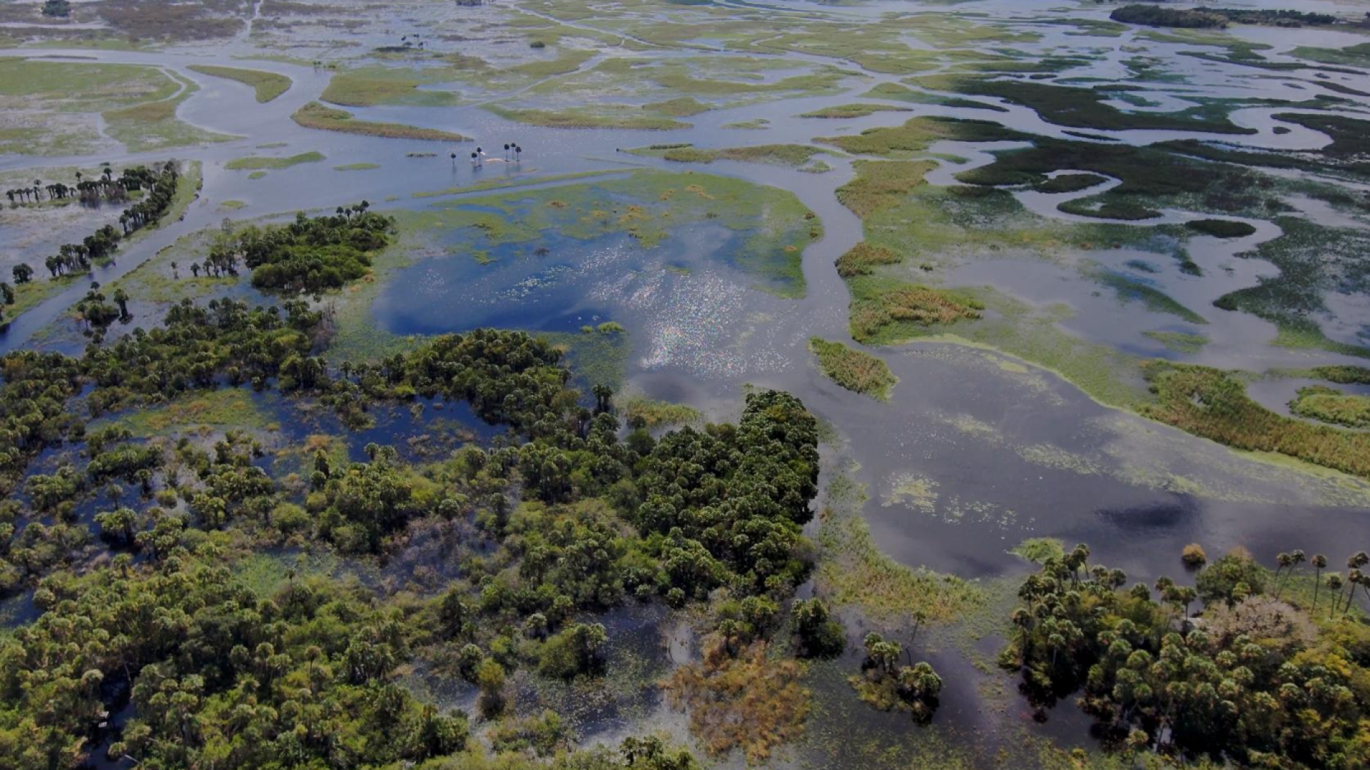 The same floodplains after Hurricane Milton, illustrating how these natural areas store excess rainwater and help protect our communities during heavy rainfall and severe weather events.