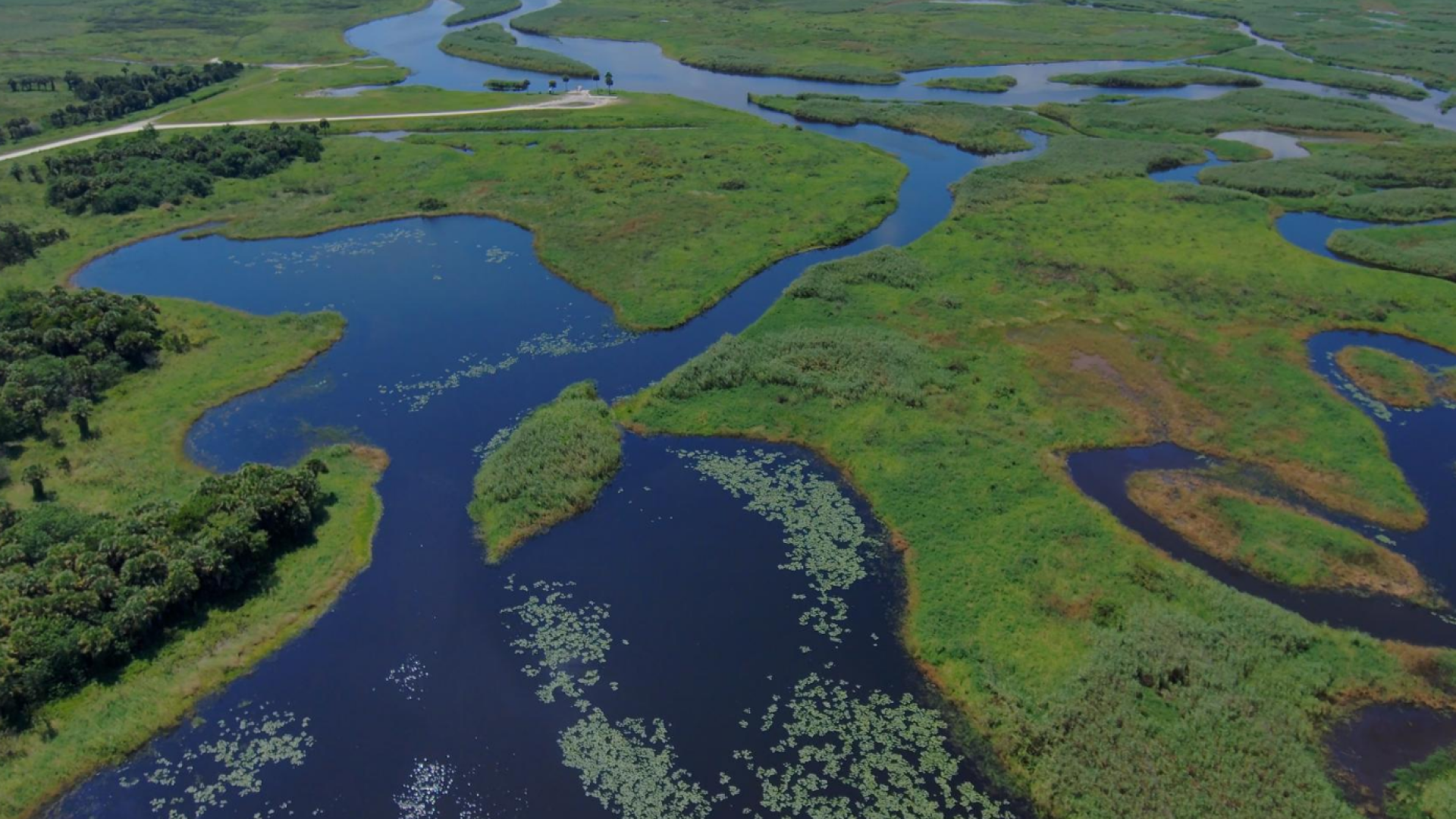 Floodplains at Seminole Ranch Conservation Area before Hurricane Milton.